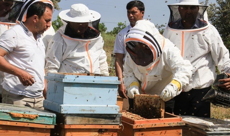 Varto ilçesine bağlı Çobandağı köyünde yaşayan 2 kız çocuğu annesi